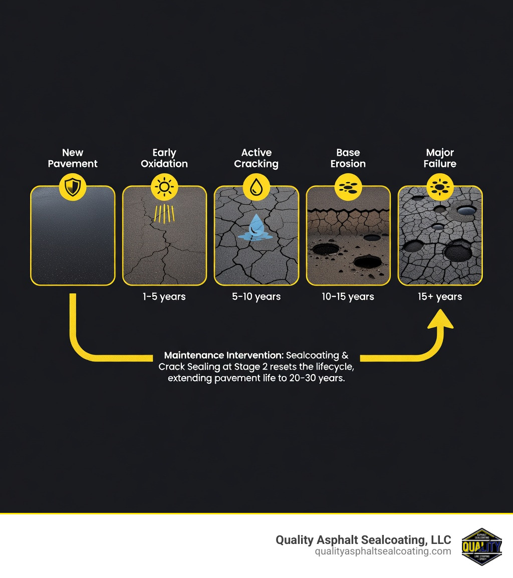 Infographic showing the commercial pavement deterioration lifecycle: Stage 1 - New pavement (smooth, sealed, no damage); Stage 2 - Early oxidation (surface drying, minor hairline cracks appear, 1-5 years); Stage 3 - Active cracking (water infiltration begins, crack network expands, 5-10 years); Stage 4 - Base erosion (water reaches sub-base, potholes form, structural weakening, 10-15 years); Stage 5 - Major failure (alligator cracking, widespread potholes, full replacement required, 15+ years without maintenance); Maintenance intervention arrows showing sealcoating and crack sealing at Stage 2 can reset the lifecycle and extend pavement life to 20-30 years - Commercial pavement maintenance infographic 