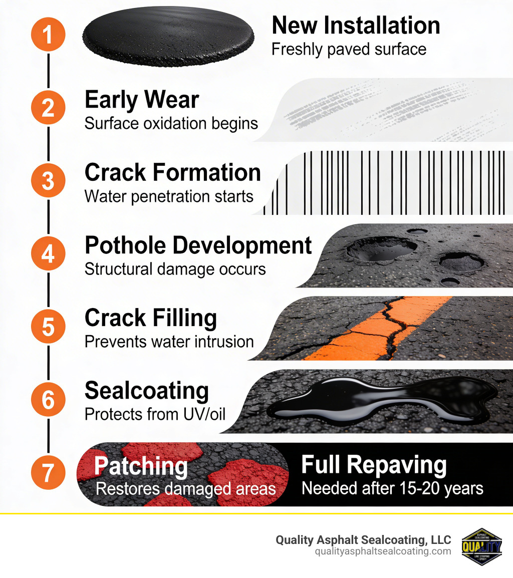 Infographic showing the asphalt lifecycle from new installation through early wear, crack formation, pothole development, and the maintenance stages of crack filling, sealcoating, and patching that extend pavement life before full repaving is needed - Asphalt maintenance near me infographic