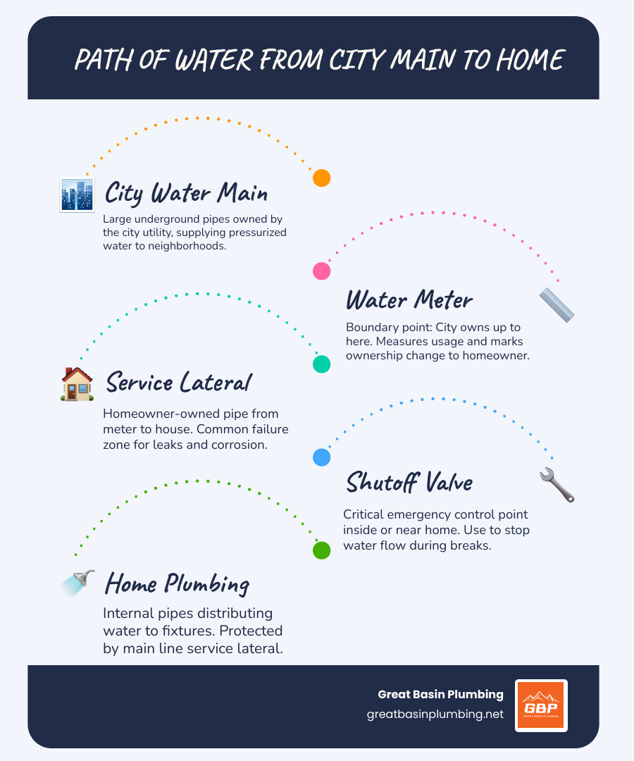 Infographic showing the path of water from the city water main underground through the water meter (city-owned boundary), then through the service lateral owned by the homeowner, into the home's internal plumbing system, with labels indicating ownership responsibilities, common failure points like corrosion and tree roots, and key components like the shutoff valve and meter box - Main water line repair Utah infographic infographic-line-5-steps-blues-accent_colors