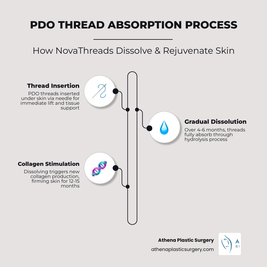Infographic showing the PDO thread absorption process: Step 1 - Thread inserted via needle under skin providing immediate lift; Step 2 - Over 4-6 months, threads dissolve through hydrolysis; Step 3 - Dissolving triggers collagen production in surrounding tissue; Step 4 - Collagen continues to firm and support skin for 12-15 months after threads are fully absorbed; Timeline bar showing total results lasting approximately 1 year or more - nova threads infographic infographic-line-3-steps-elegant_beige Infographic showing the PDO thread absorption process: Step 1 - Thread inserted via needle under skin providing immediate lift; Step 2 - Over 4-6 months, threads dissolve through hydrolysis; Step 3 - Dissolving triggers collagen production in surrounding tissue; Step 4 - Collagen continues to firm and support skin for 12-15 months after threads are fully absorbed; Timeline bar showing total results lasting approximately 1 year or more - nova threads infographic infographic-line-3-steps-elegant_beige