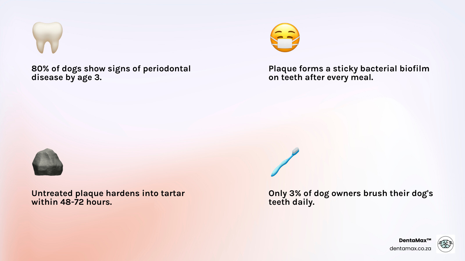 infographic showing stages of canine dental disease from plaque to periodontal disease - does dental powder work for dogs