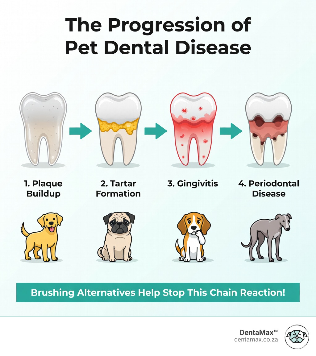 infographic showing progression from plaque to tartar to gingivitis to periodontal disease in pets - brushing alternative
