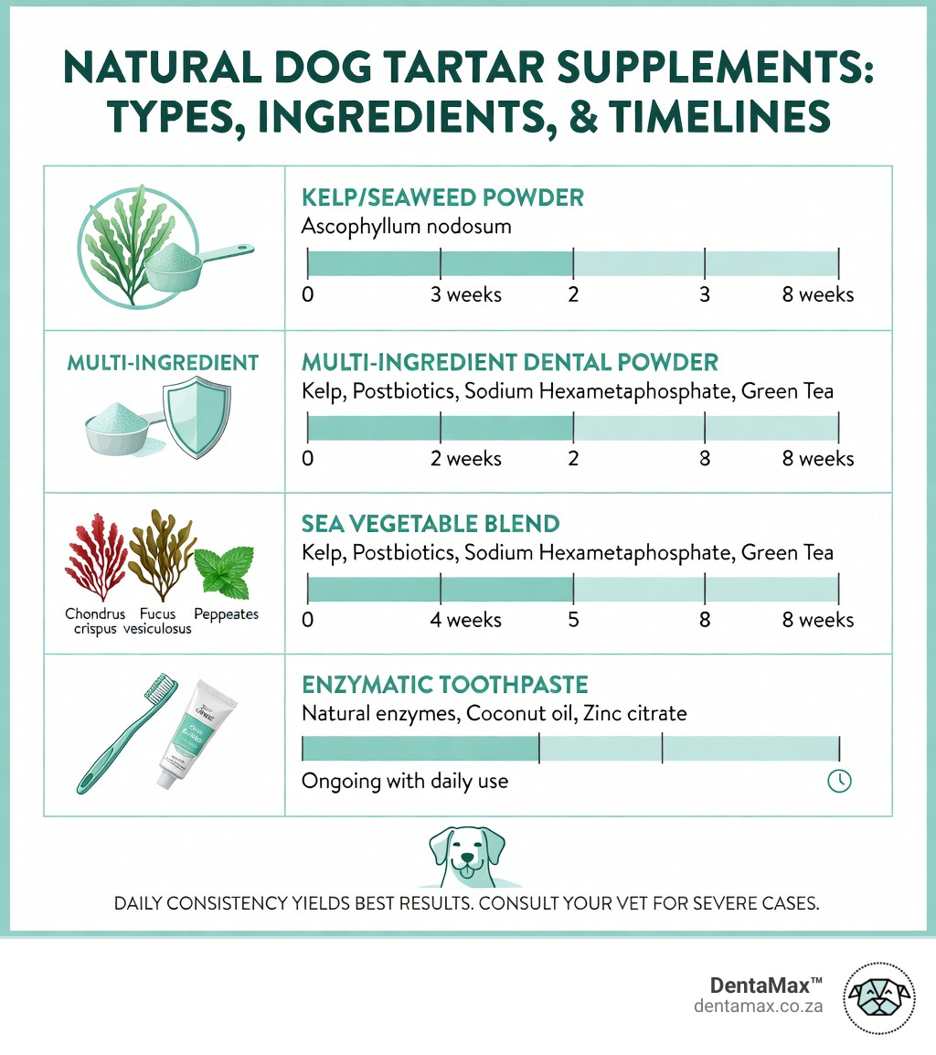 Infographic showing top natural dog tartar supplement types, key ingredients, and expected results timeline - natural dog