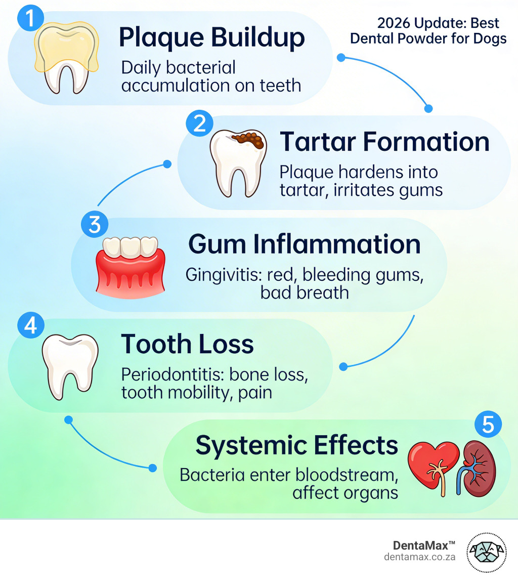 Infographic showing canine dental disease progression from plaque buildup to periodontal disease stages, best dental powder