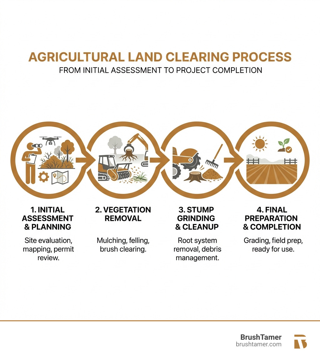 Infographic showing the agricultural land clearing process from initial assessment to project completion - Agricultural