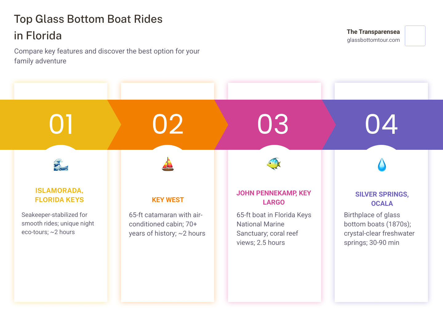 Infographic showing Florida glass bottom boat locations, tour durations, prices, and key features side by side - glass