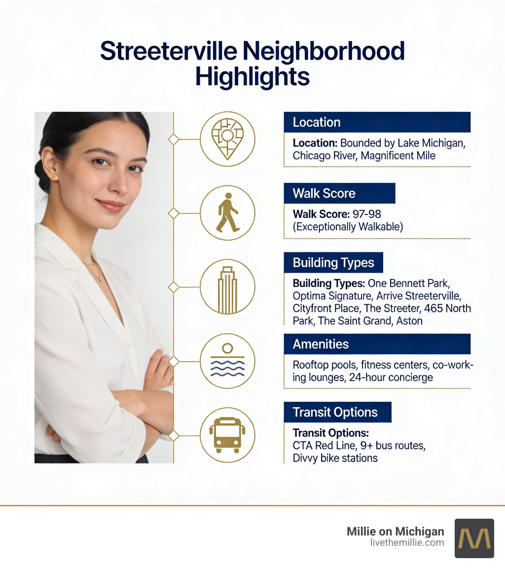 Streeterville neighborhood highlights infographic: location, walk score, building types, amenities, and transit options