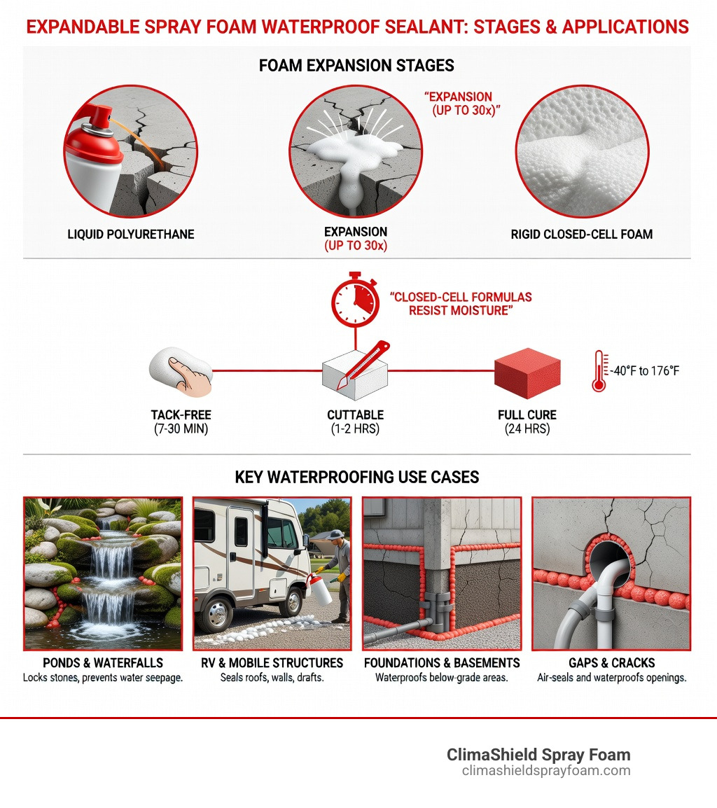 Infographic showing foam expansion stages, curing timeline, and key waterproofing use cases - expandable spray foam