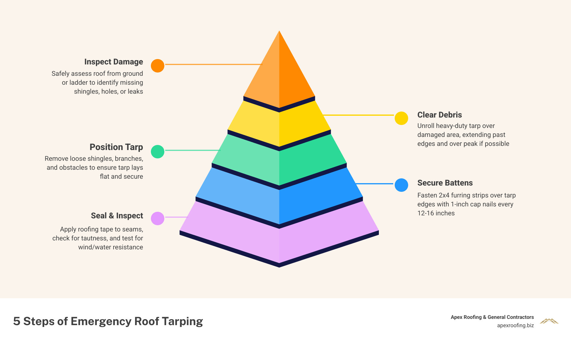 5 steps of emergency roof tarping protection for Leon Valley homeowners - roof tarping Leon Valley infographic