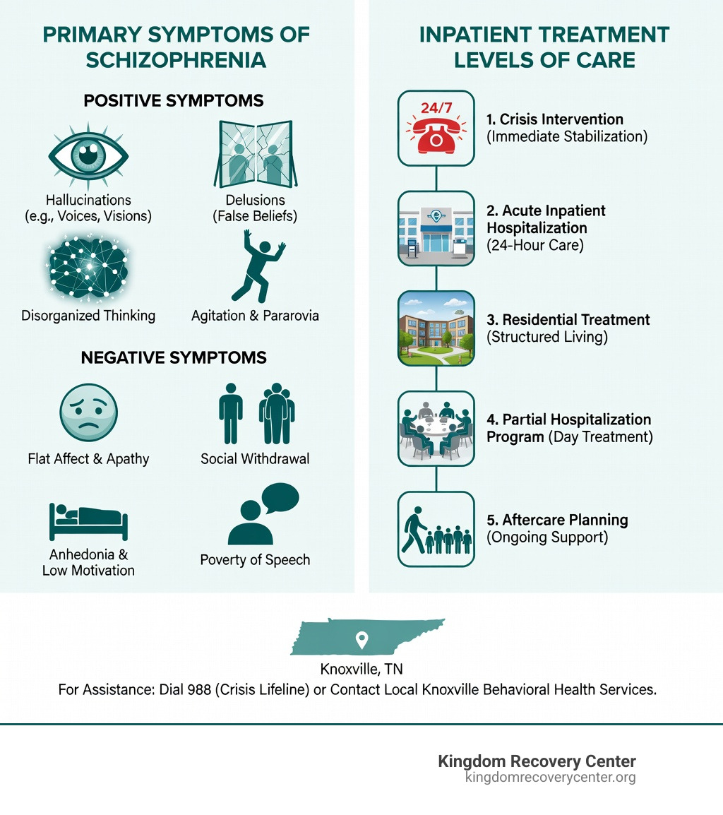 Primary symptoms of schizophrenia and inpatient treatment levels of care in Knoxville TN - schizophrenia inpatient treatment