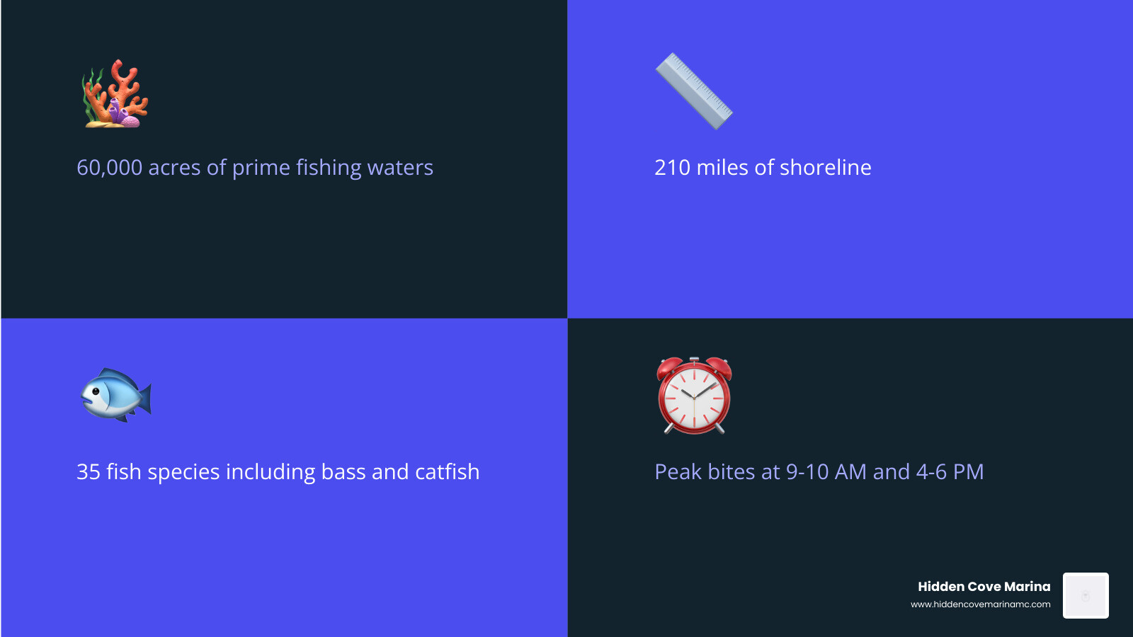 Lake Moultrie fishing forecast infographic showing 60000 acres, 210 miles shoreline, top species, and best fishing times Lake Moultrie fishing forecast infographic showing 60000 acres, 210 miles shoreline, top species, and best fishing times