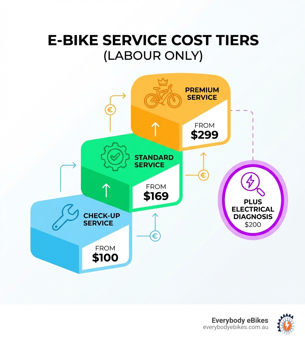 Infographic showing e-bike service cost tiers from check-up at $100 to premium at $299 plus electrical diagnosis - electric