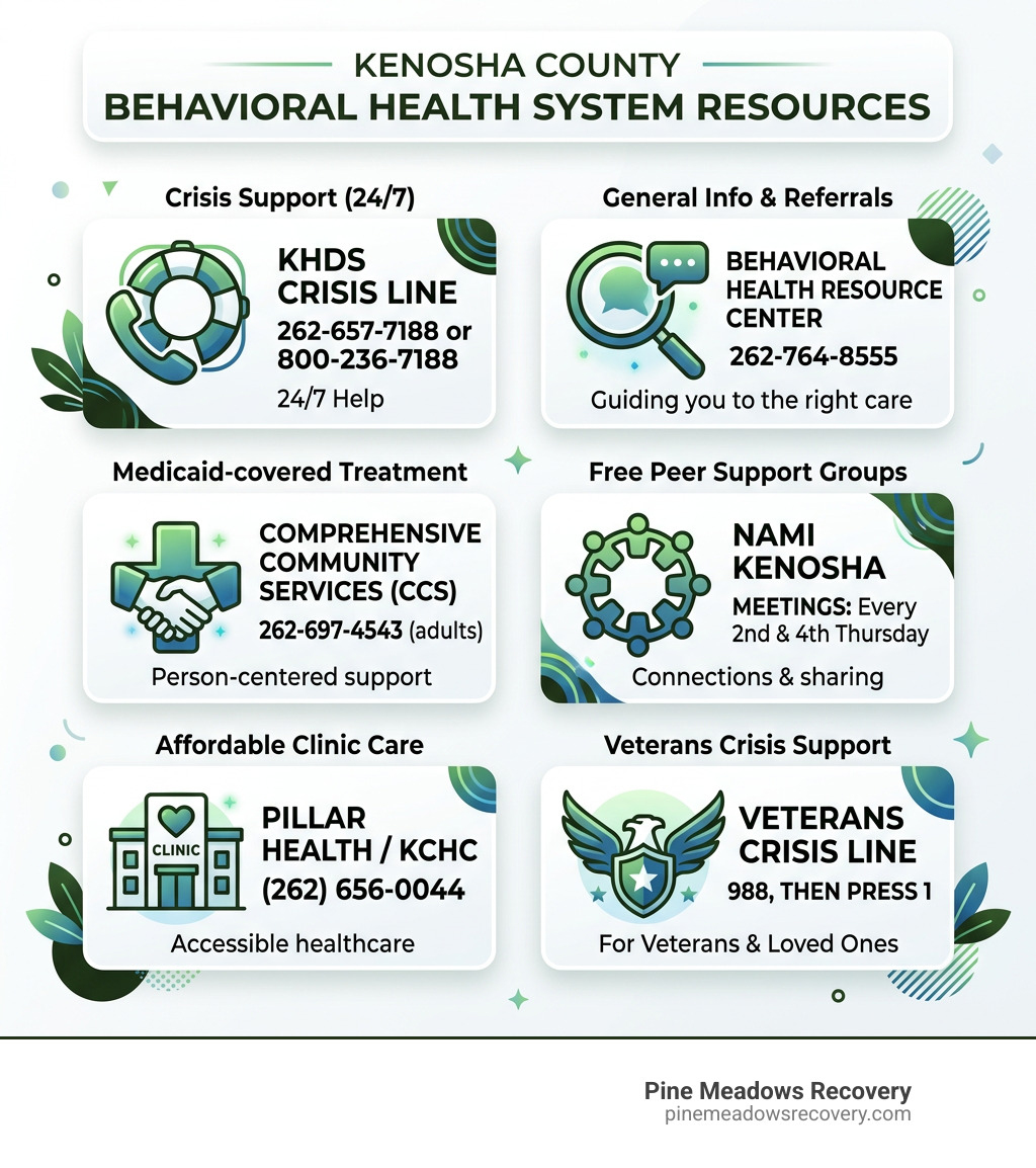 Overview infographic of Kenosha County behavioral health system resources and contact numbers - Mental Health Services Overview infographic of Kenosha County behavioral health system resources and contact numbers - Mental Health Services