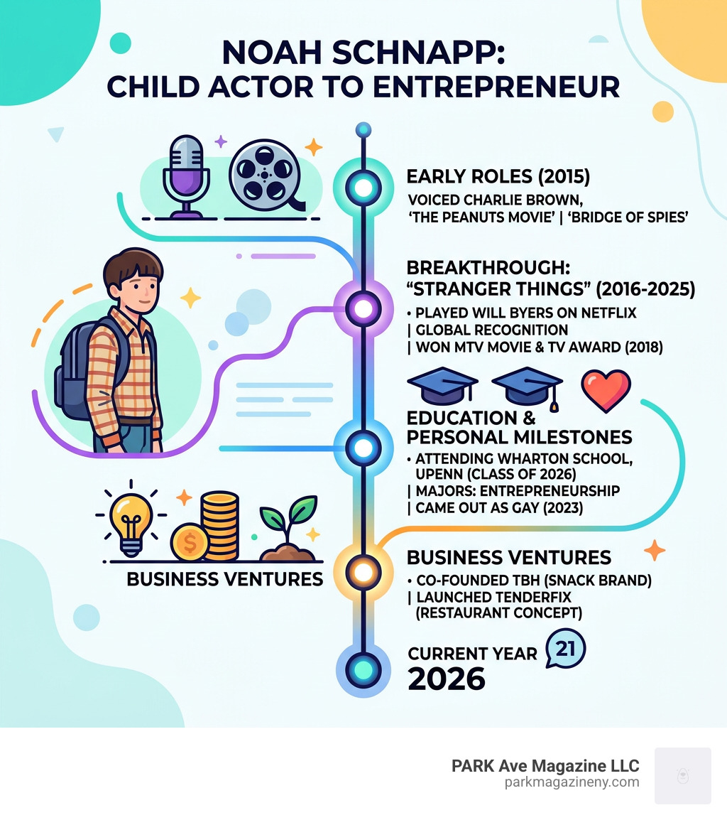 Noah Schnapp career timeline infographic from child actor to entrepreneur - noah schnapp infographic 