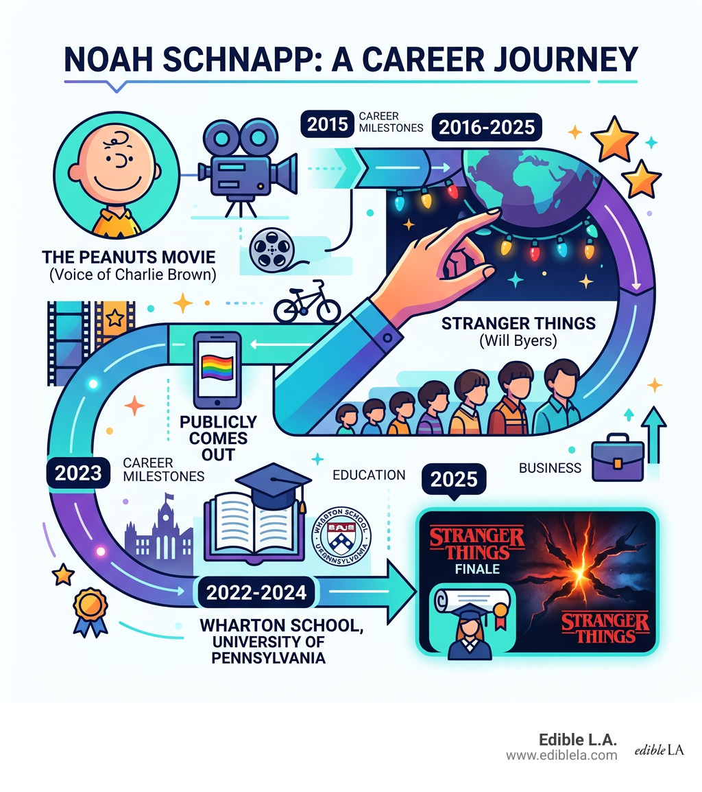 Noah Schnapp career timeline from 2015 Peanuts Movie to 2025 Stranger Things finale and UPenn - noah schnapp infographic 