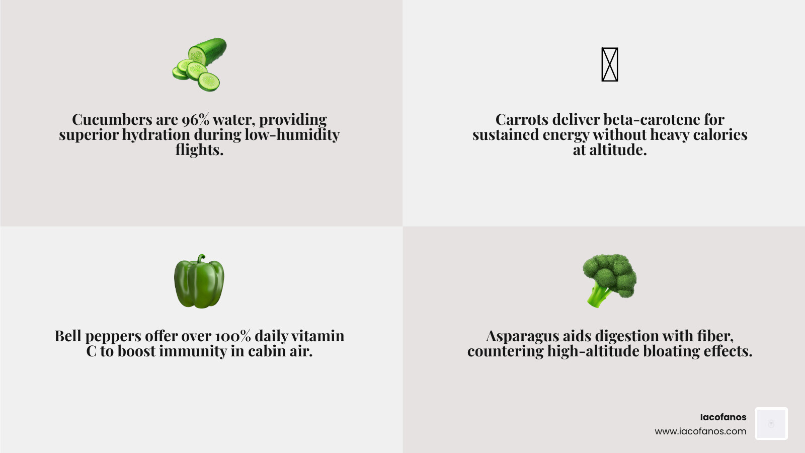 Infographic showing top vegetables, dips, and add-ons for a jet crudité platter with food safety tips - crudité platters for Infographic showing top vegetables, dips, and add-ons for a jet crudité platter with food safety tips - crudité platters for