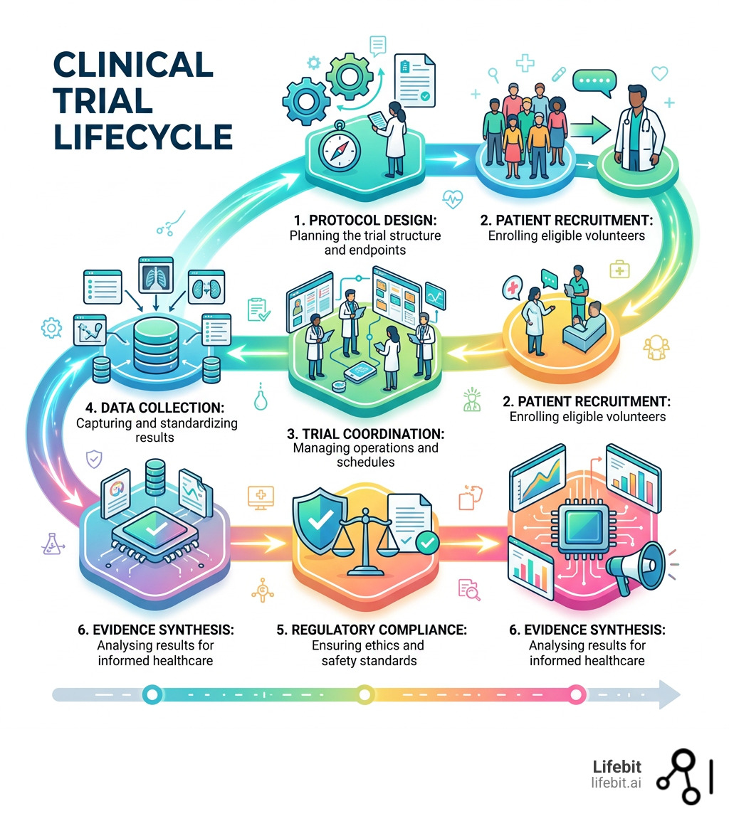 Infographic showing the clinical trial lifecycle from protocol design to evidence synthesis - centre for clinical trials