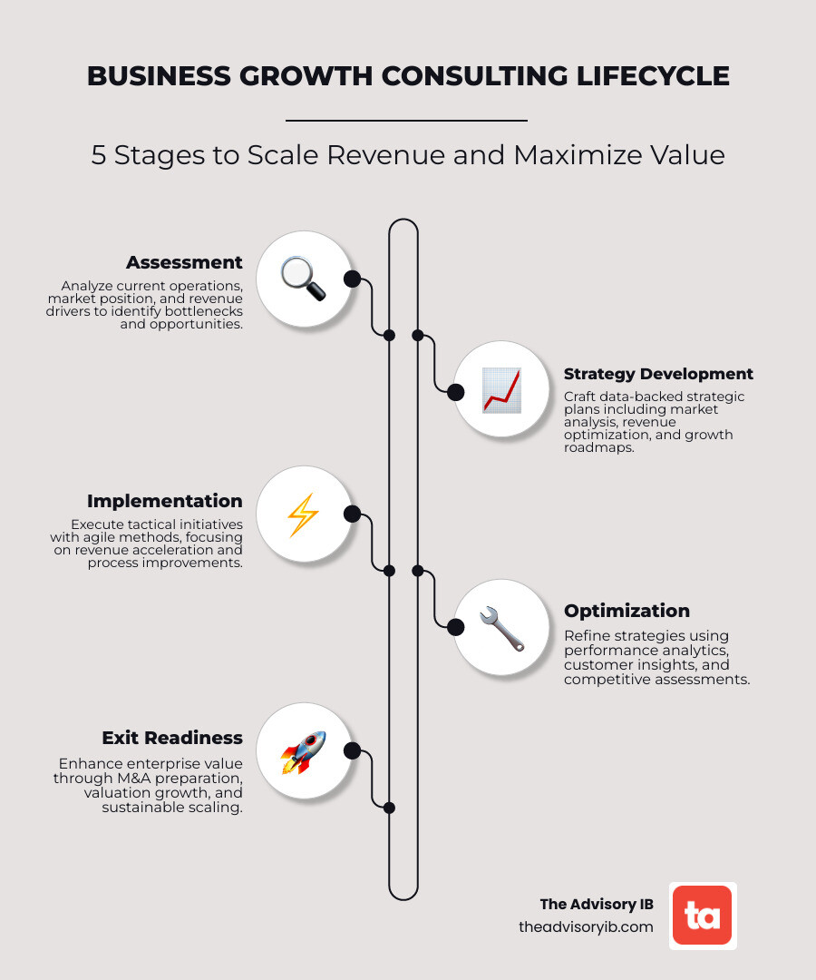 Business growth consulting lifecycle infographic showing stages from assessment to revenue scaling to exit readiness