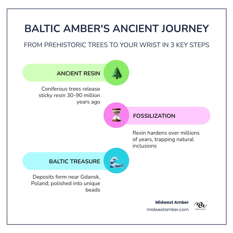 Infographic showing the 90-million-year journey of Baltic amber from ancient tree resin to stretch bracelet - amber stretch