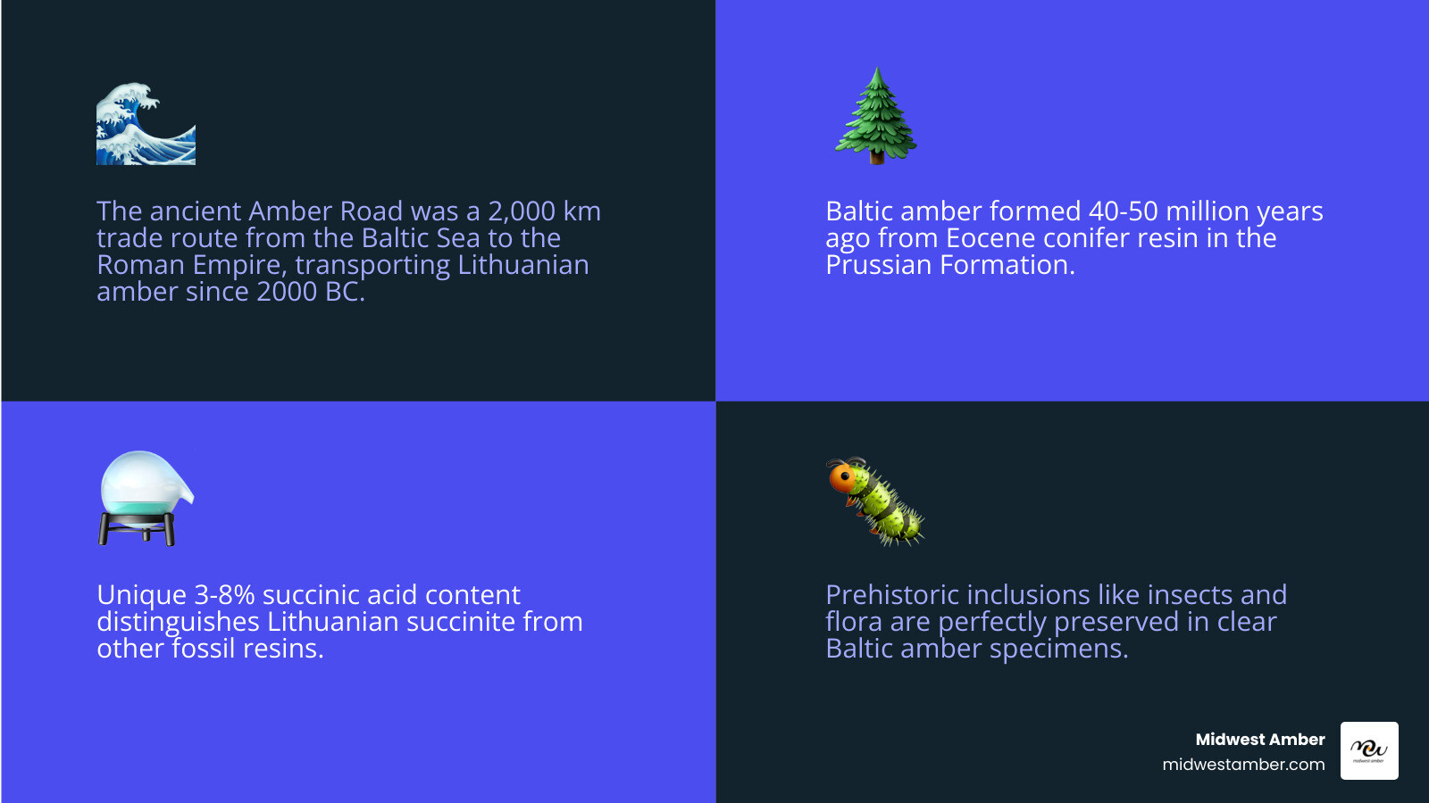 Ancient Amber Road trade route infographic from Baltic Sea region to Roman Empire - Amber from Lithuania infographic Ancient Amber Road trade route infographic from Baltic Sea region to Roman Empire - Amber from Lithuania infographic