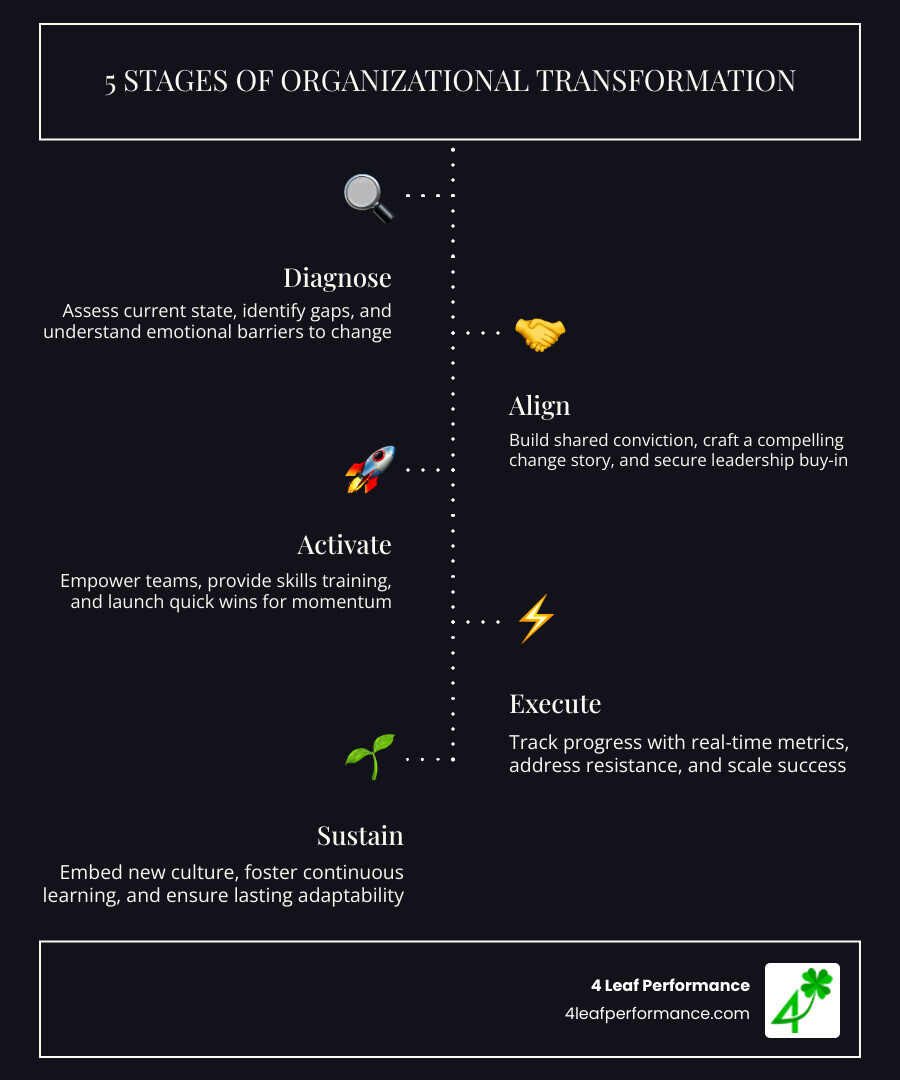 Infographic showing the 5 stages of organizational transformation: Diagnose, Align, Activate, Execute, Sustain