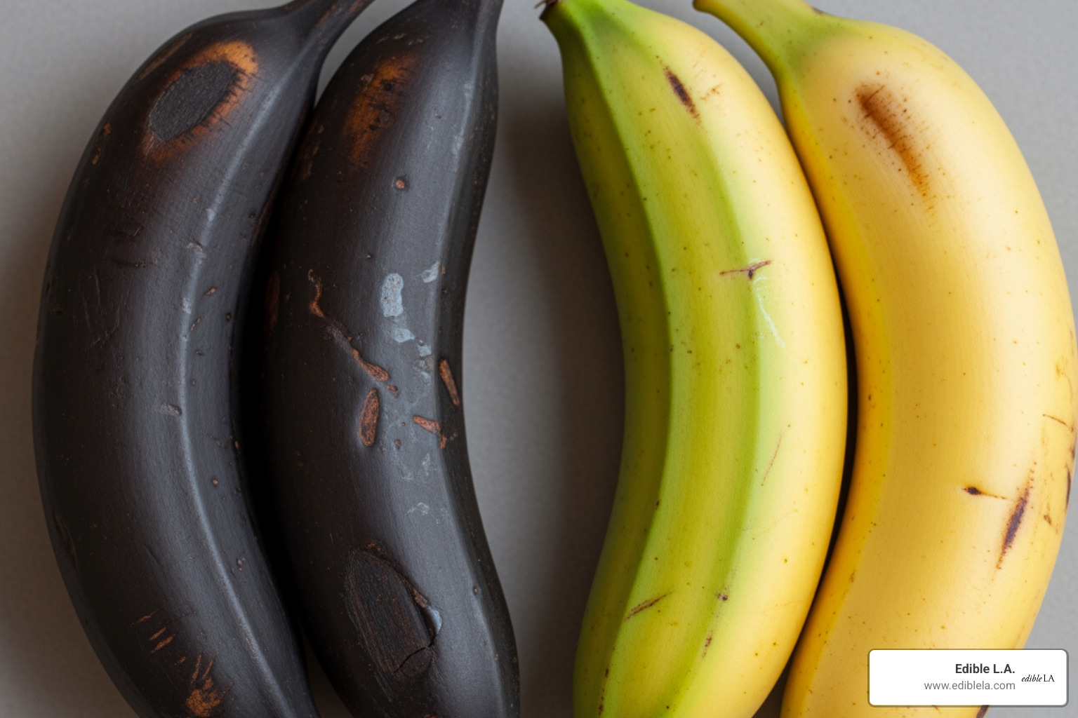 Comparison of black-skinned ripe plantains next to yellow ones - sweet plantains recipe