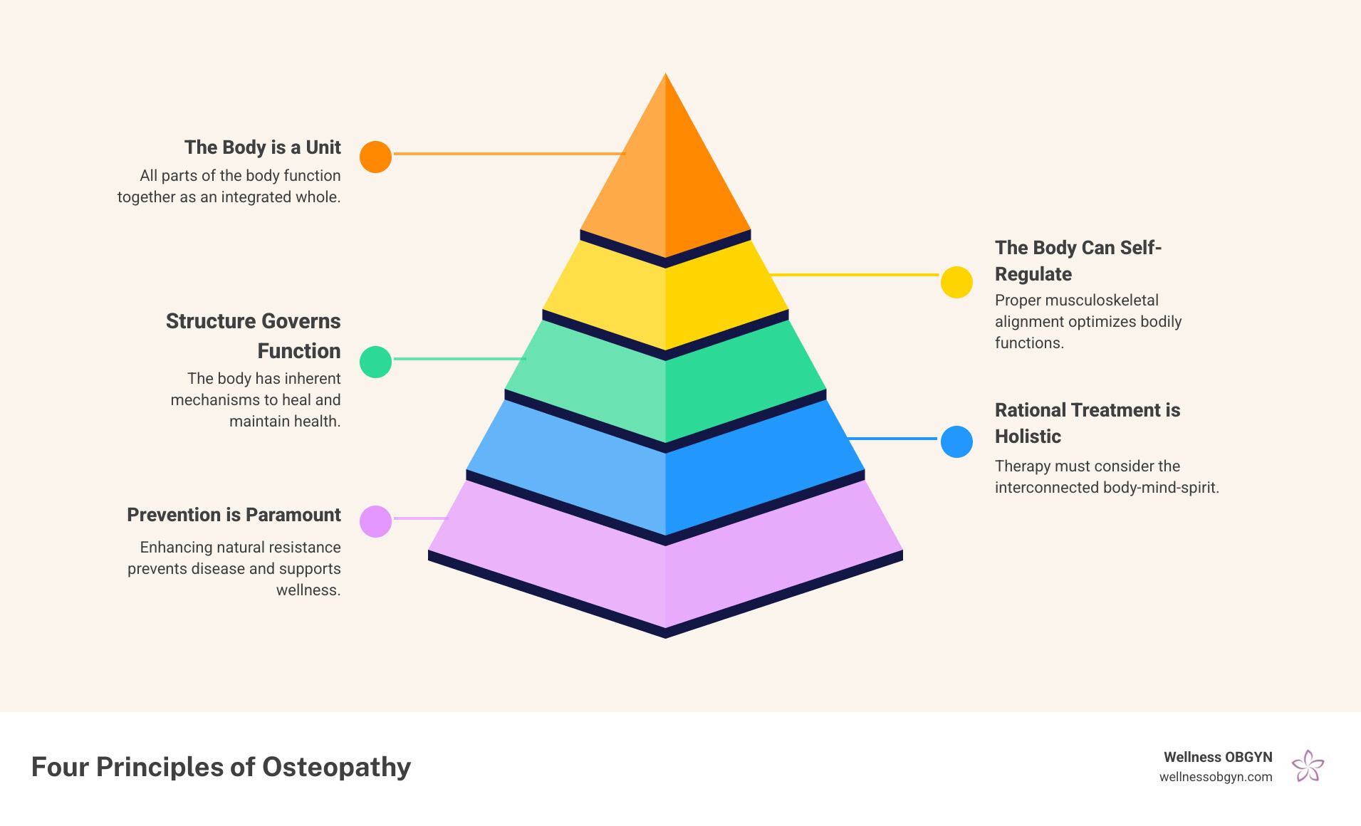 Four principles of osteopathy: body unity, self-healing, structure-function relationship, holistic treatment - osteopath Four principles of osteopathy: body unity, self-healing, structure-function relationship, holistic treatment - osteopath
