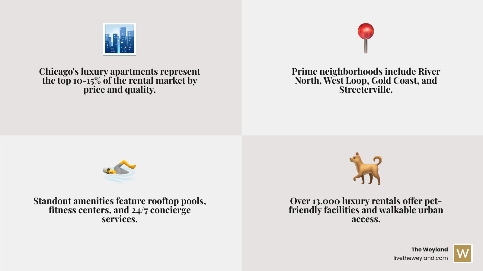 Infographic showing Chicago luxury rental market breakdown: top 10%, neighborhoods, amenities, and pricing tiers - luxury