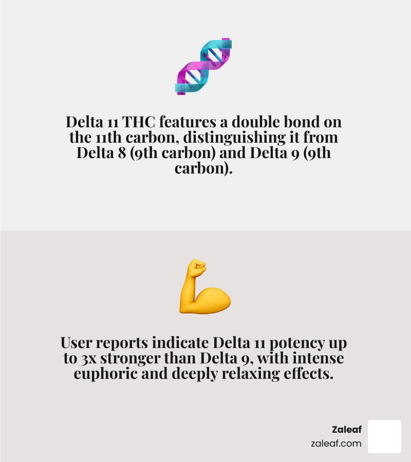THC family tree infographic showing Delta 8, Delta 9, Delta 10, and Delta 11 with potency and effects - delta 11 infographic THC family tree infographic showing Delta 8, Delta 9, Delta 10, and Delta 11 with potency and effects - delta 11 infographic