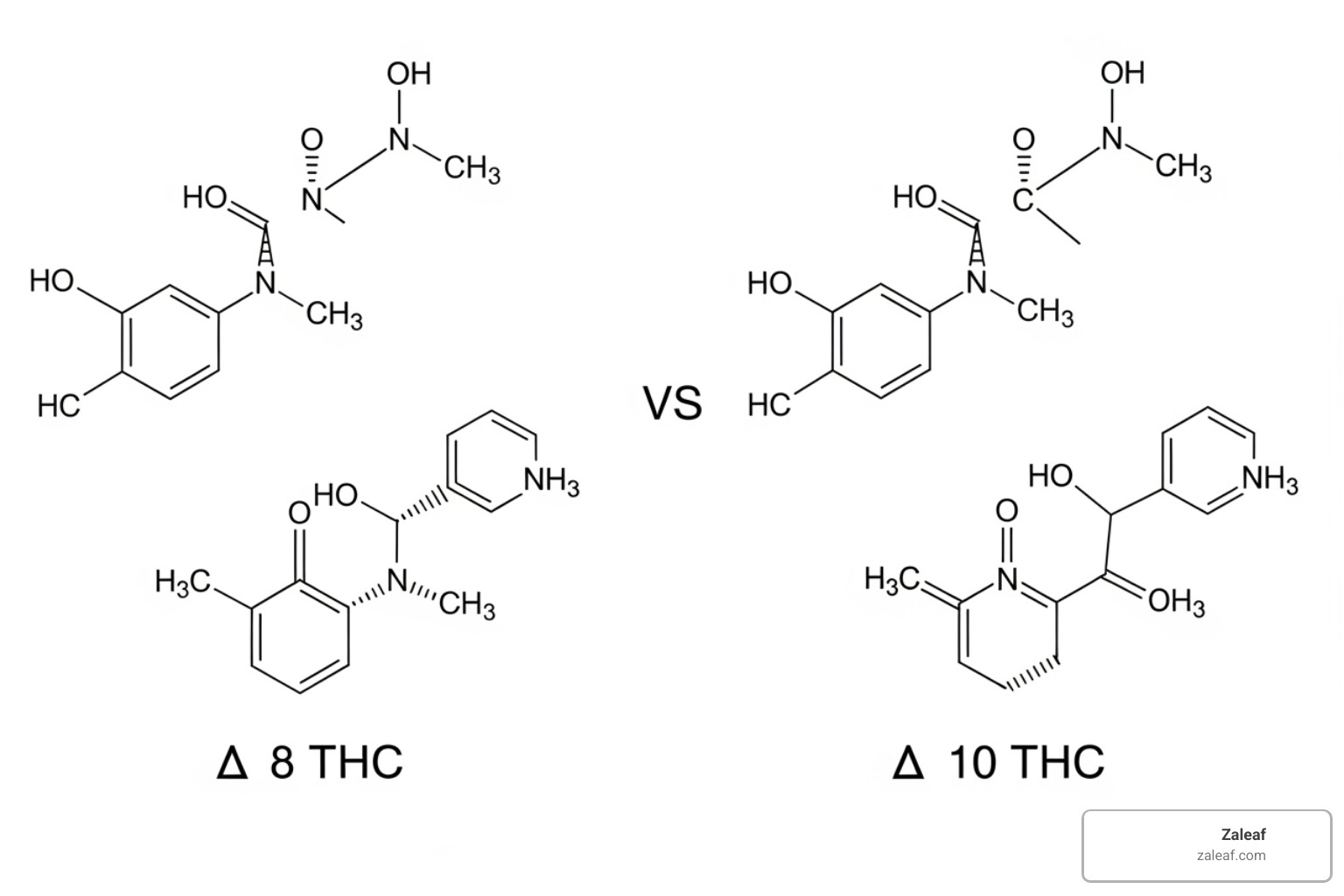 comparing molecular structures of Delta 8, 9, and 10 - delta 11 comparing molecular structures of Delta 8, 9, and 10 - delta 11
