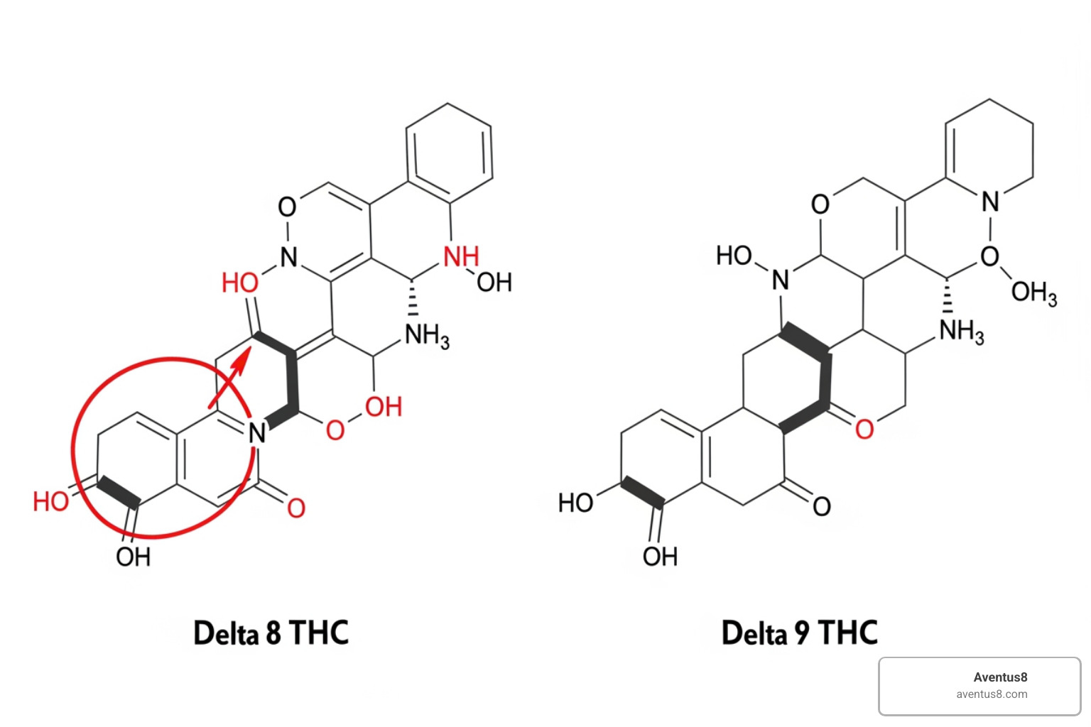 Molecular comparison of Delta 8 and Delta 9 THC - delta 8 vs delta 9 reddit Molecular comparison of Delta 8 and Delta 9 THC - delta 8 vs delta 9 reddit
