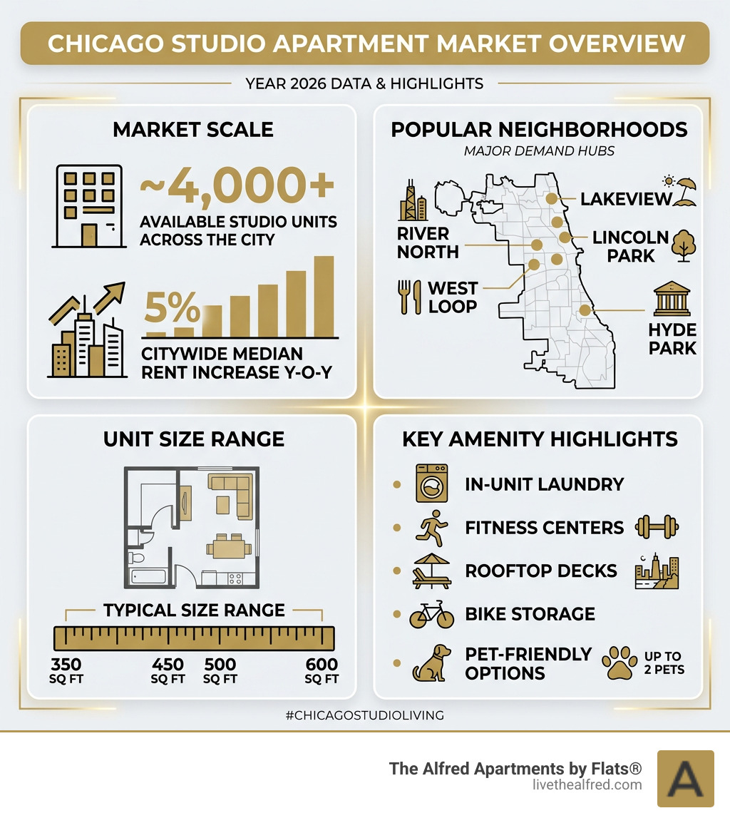 Chicago studio apartment market overview infographic with neighborhoods, sizes, and amenity highlights - chicago studio