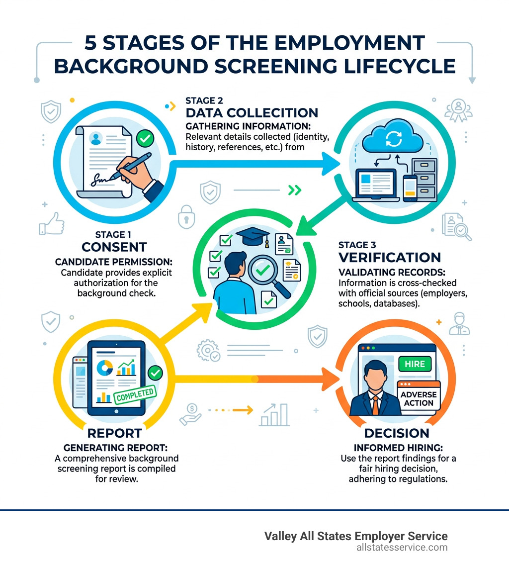 5 stages of the employment background screening lifecycle: consent, data collection, verification, report, decision