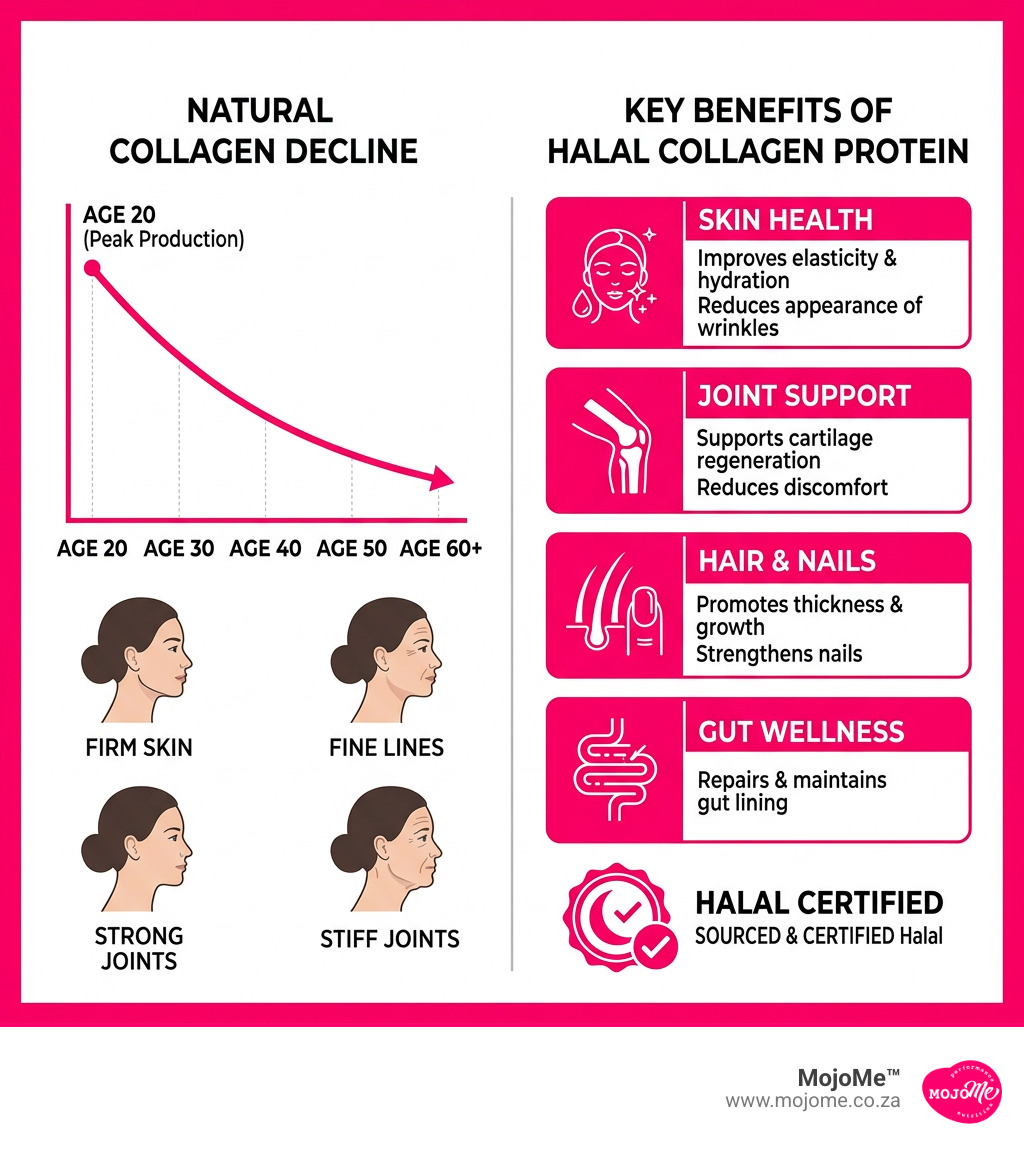 Infographic showing collagen decline after age 20 and key benefits of halal collagen protein for skin, joints, hair, and gut