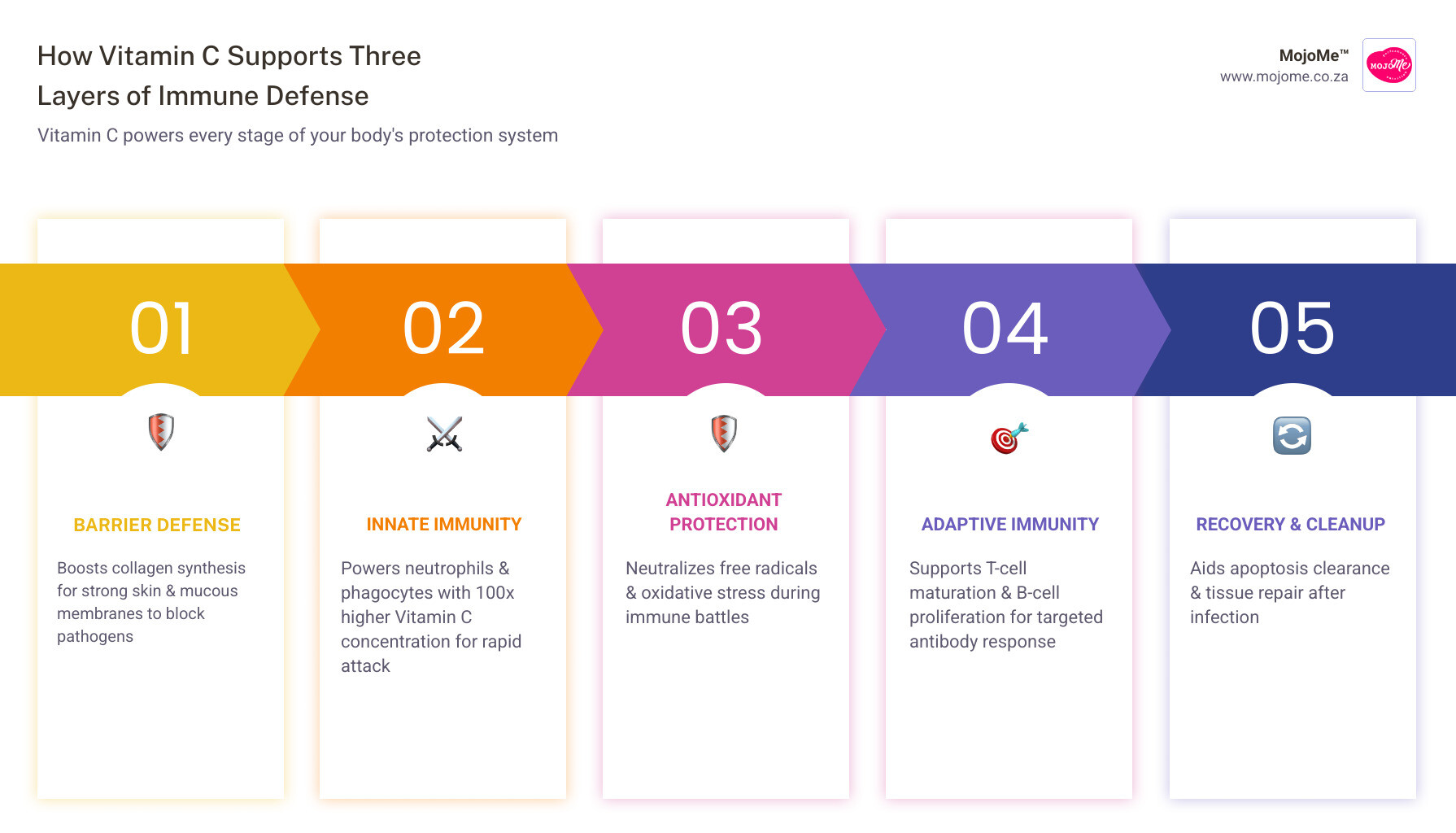 How vitamin C supports three layers of immune defense: barriers, innate immunity, adaptive immunity - immune support vitamin