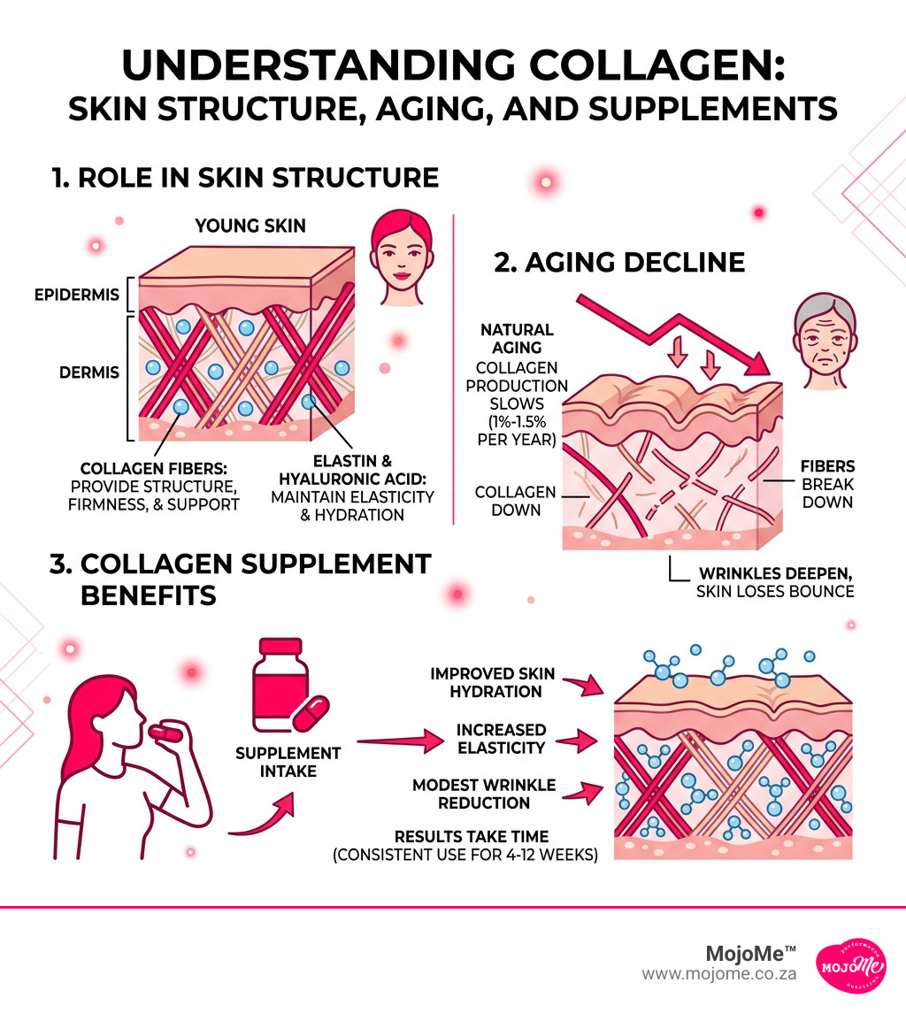 Infographic showing collagen's role in skin structure, aging decline, and supplement benefits - collagen for anti aging
