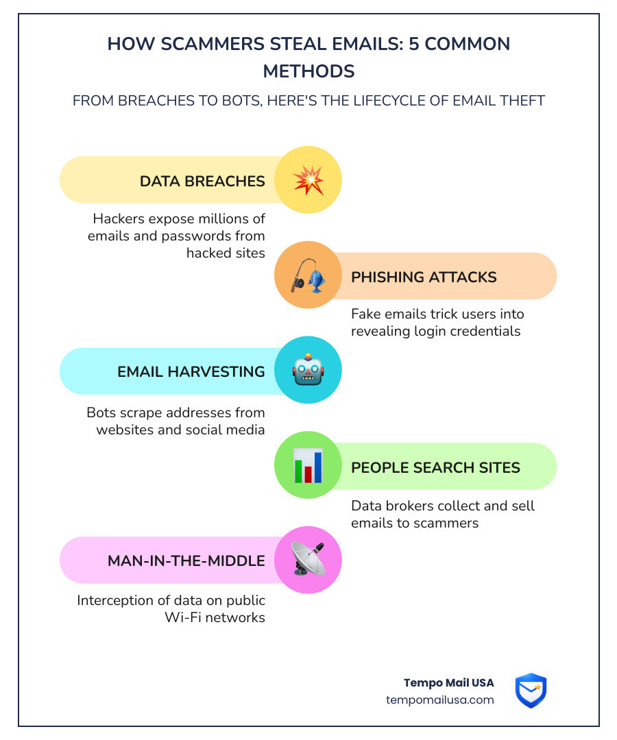 Lifecycle of an email scam from harvesting to blackmail infographic - how scammers steal emails infographic Lifecycle of an email scam from harvesting to blackmail infographic - how scammers steal emails infographic