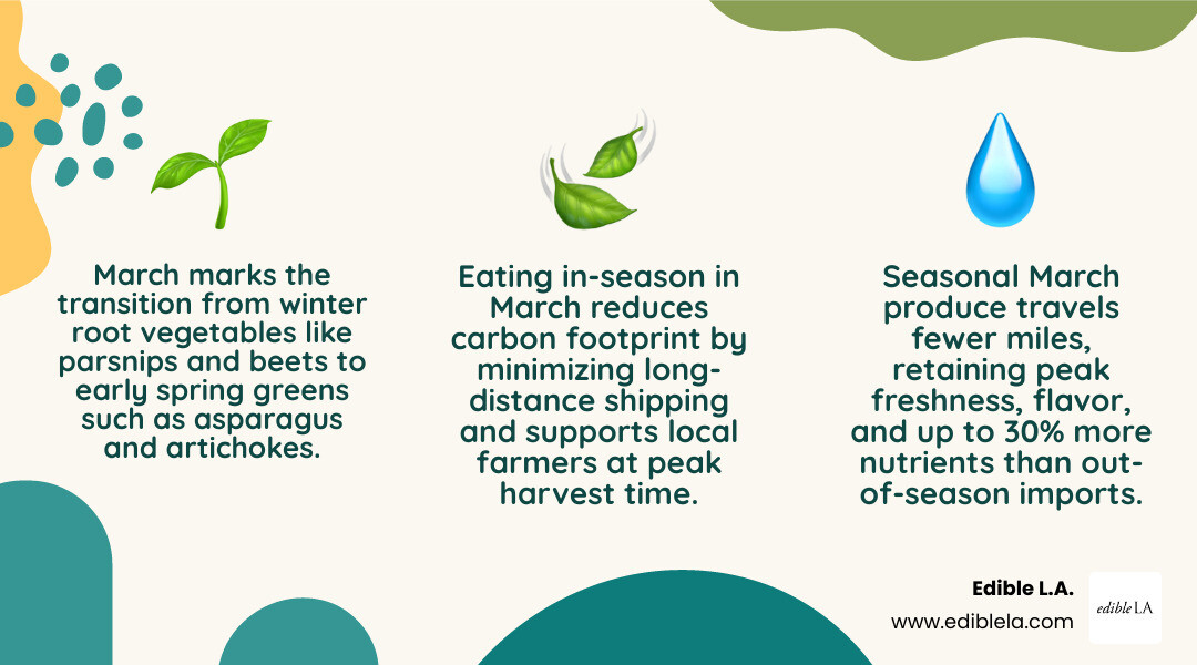 March seasonal vegetables transition from winter roots to spring greens infographic - what veggies are in season in march March seasonal vegetables transition from winter roots to spring greens infographic - what veggies are in season in march