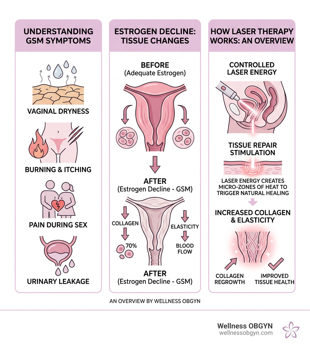 GSM symptoms, tissue changes, and laser therapy overview infographic - laser therapy for menopause infographic 