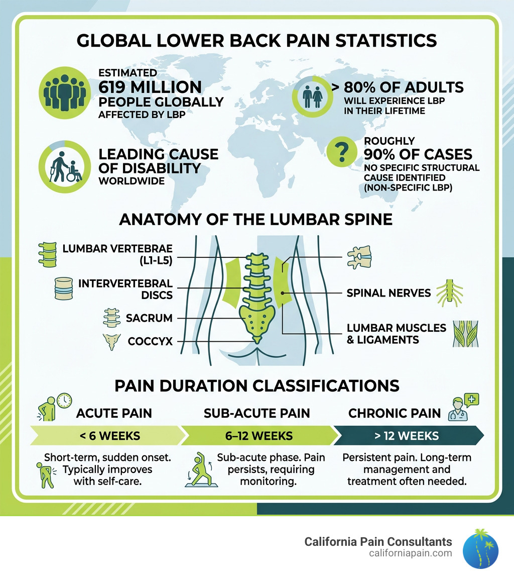 Infographic showing global lower back pain statistics, anatomy of the lumbar spine, and pain duration classifications Infographic showing global lower back pain statistics, anatomy of the lumbar spine, and pain duration classifications