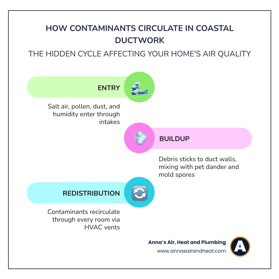 Infographic showing how dust, allergens, and moisture circulate through home ductwork in a coastal humid climate - best duct Infographic showing how dust, allergens, and moisture circulate through home ductwork in a coastal humid climate - best duct