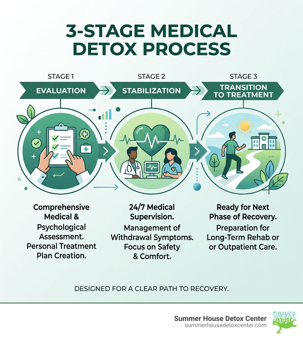 3-stage medical detox process: evaluation, stabilization, and transition to treatment - Medical detox Florida infographic 