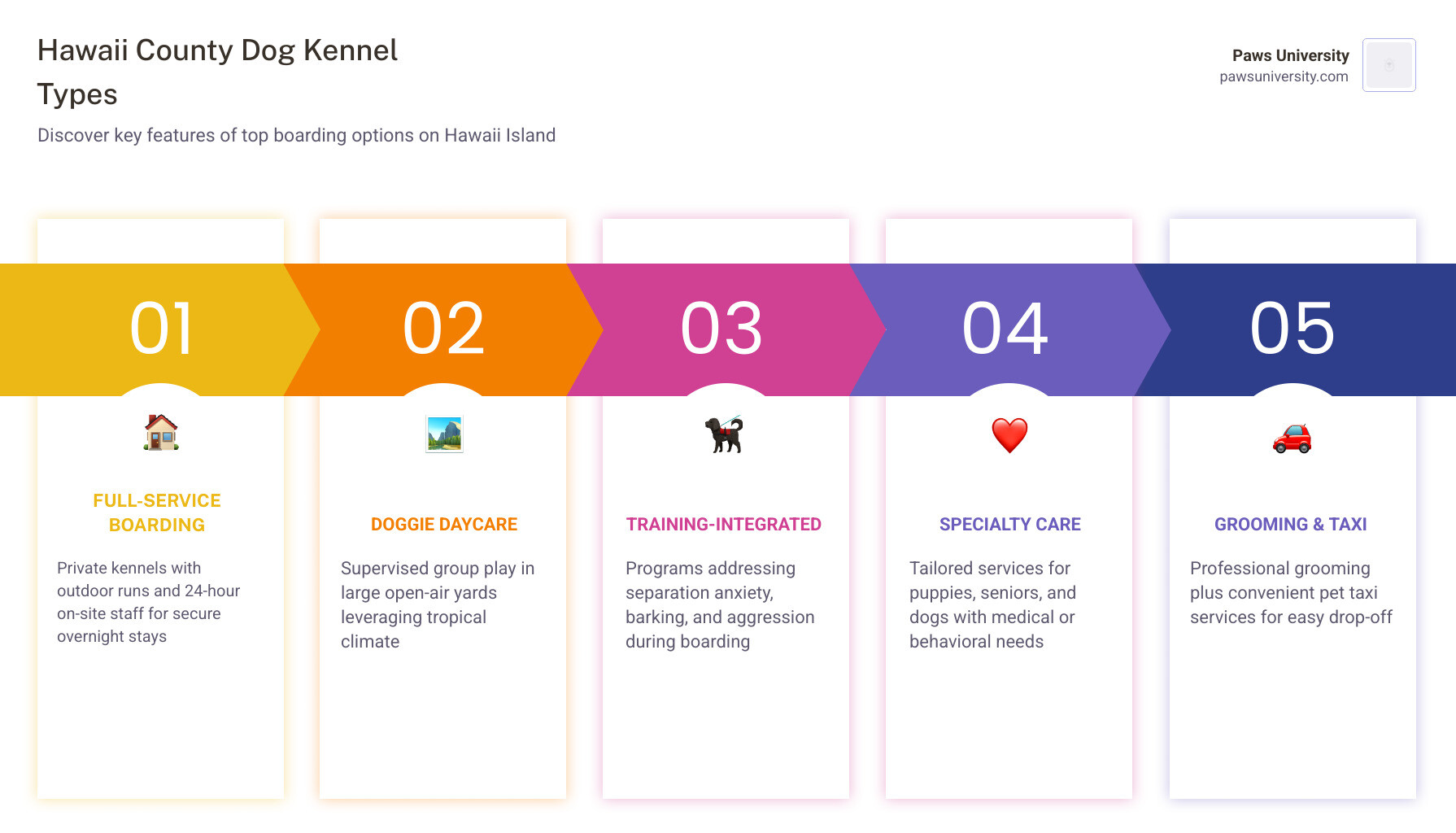 Infographic comparing Hawaii County dog kennel types: daycare, overnight boarding, training-integrated boarding, and Infographic comparing Hawaii County dog kennel types: daycare, overnight boarding, training-integrated boarding, and
