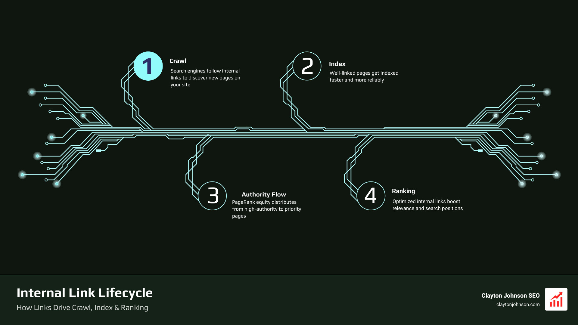 Internal link lifecycle infographic showing crawl, index, authority flow, and ranking stages - SEO internal link audit