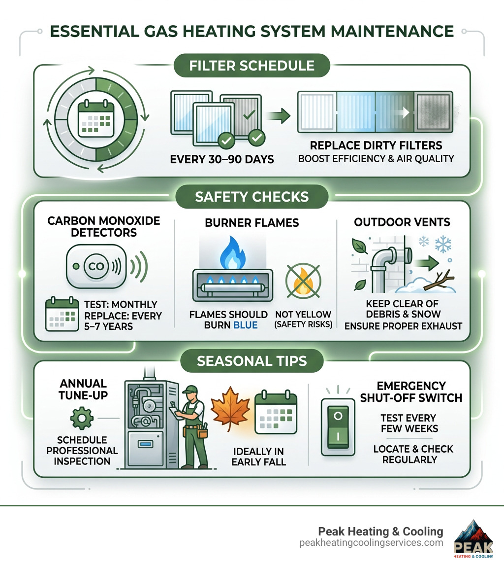 Key gas heating system maintenance steps infographic with filter schedule, safety checks, and seasonal tips - gas heating