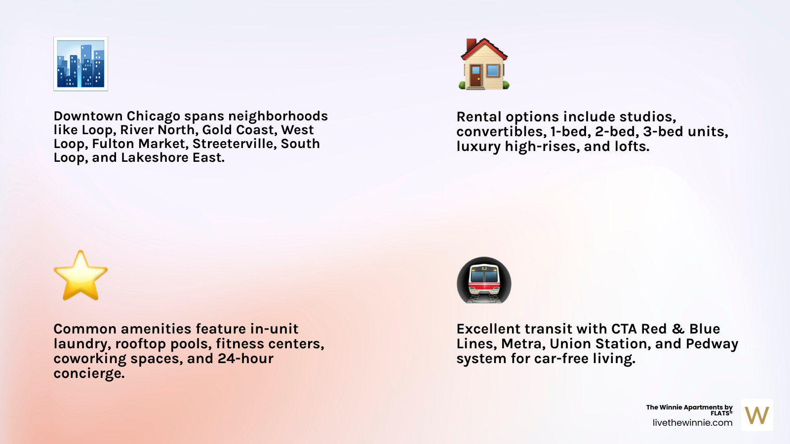 Downtown Chicago rental market overview infographic - apartments for rent downtown chicago infographic