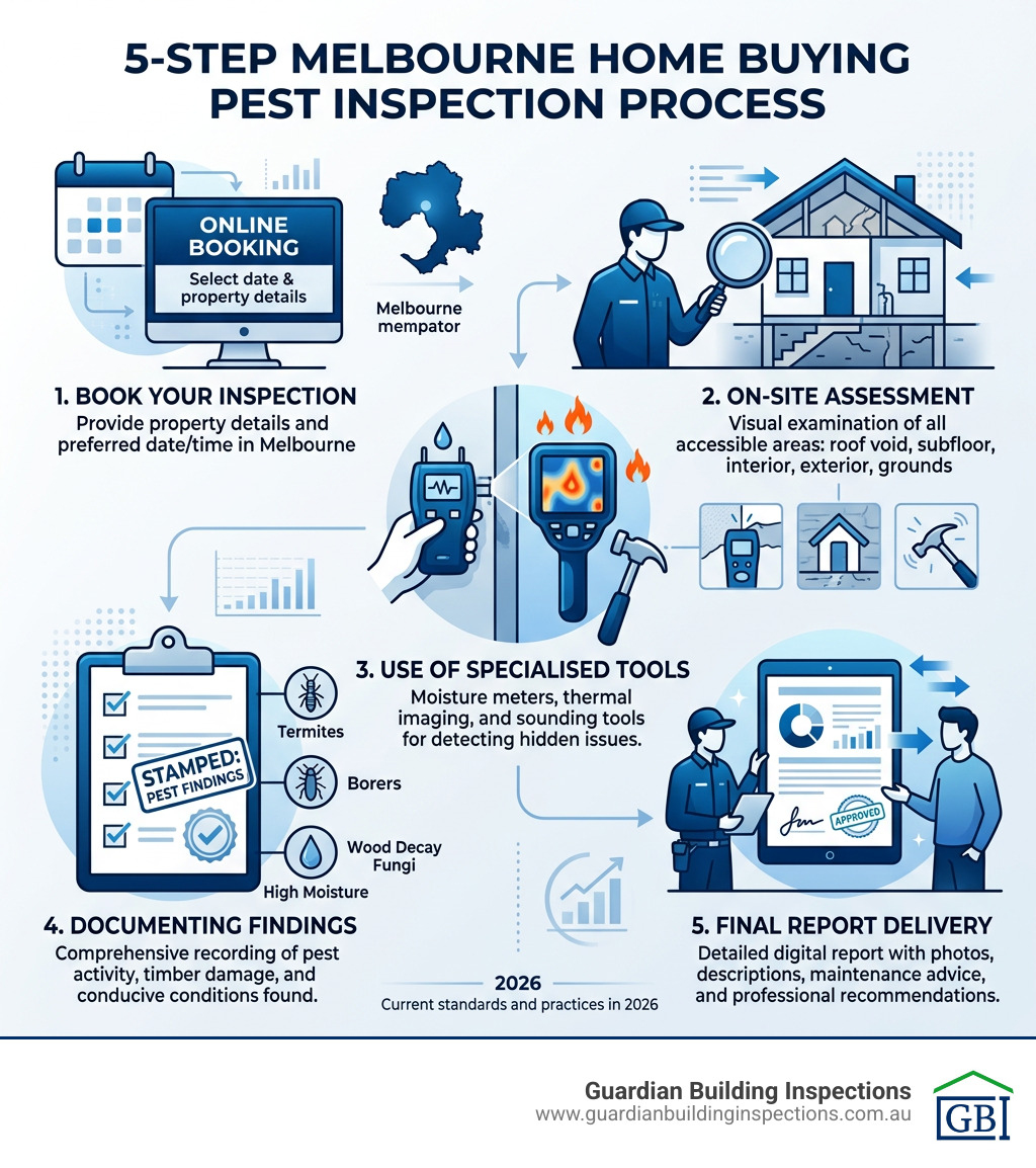 Infographic: 5-step Melbourne home buying pest inspection process from booking to report - home buying pest inspection