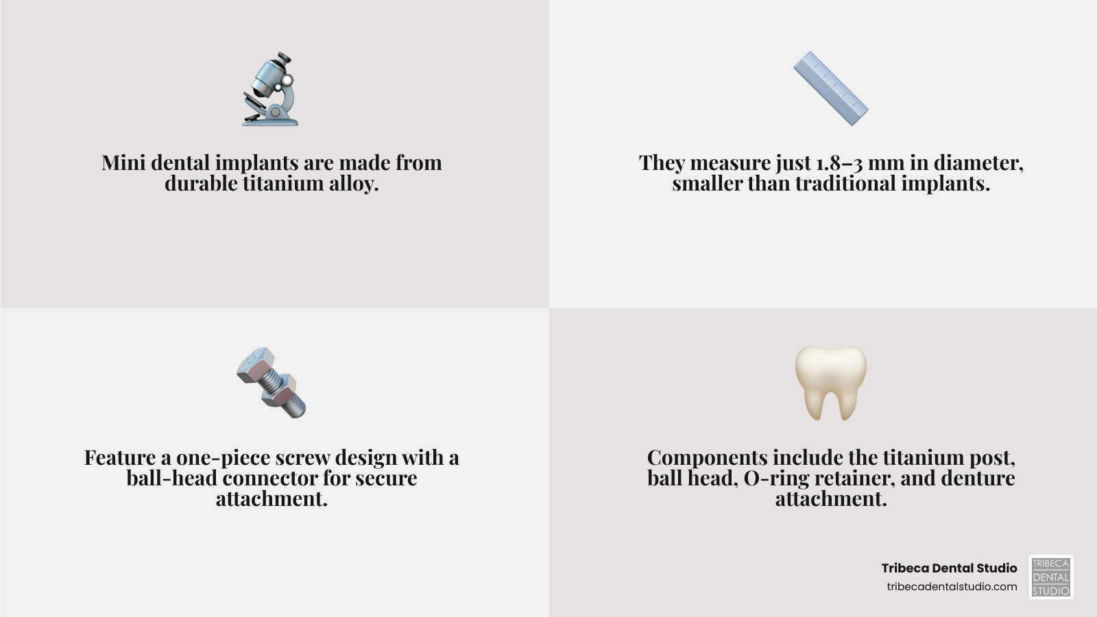 Components of a mini dental implant: titanium post, ball head, O-ring retainer, and denture attachment - mini dental
