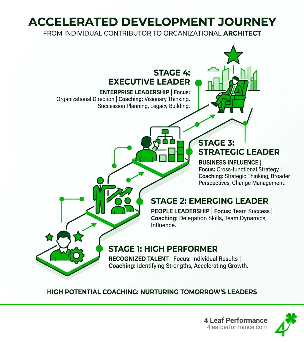 Path from high-performer to executive leader through coaching stages - High potential coaching infographic 