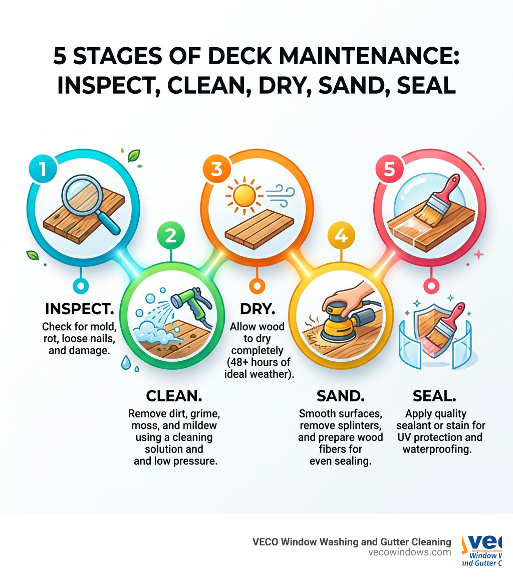 5 stages of deck maintenance: inspect, clean, dry, sand, seal infographic - deck cleaning lake forest infographic 5 stages of deck maintenance: inspect, clean, dry, sand, seal infographic - deck cleaning lake forest infographic